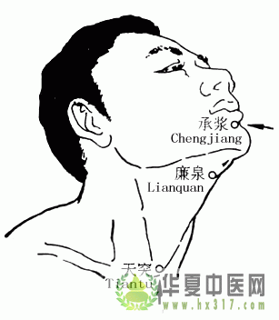 承浆穴.gif