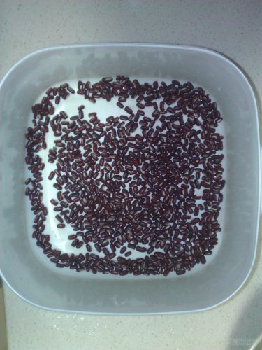 WP_000220.jpg