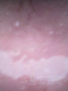 IMG0068A.jpg