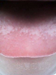 IMG0076A.jpg