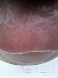IMG0074A.jpg