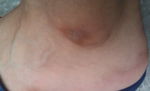 IMAG0070.jpg