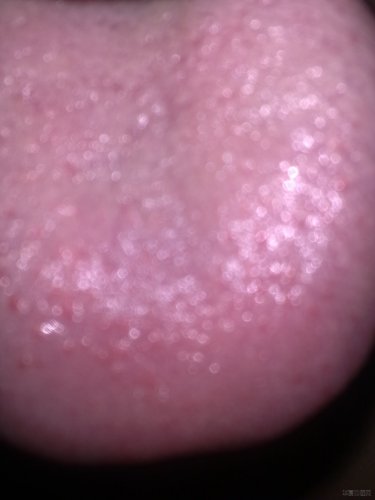 20120808041.jpg