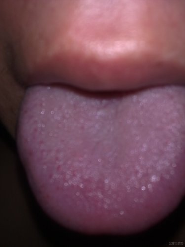 20120808044.jpg