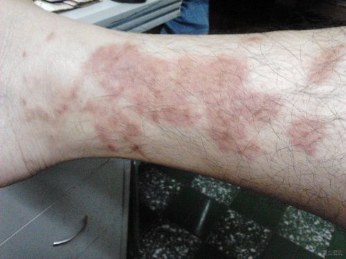 2012-08-24 20.04.33.jpg