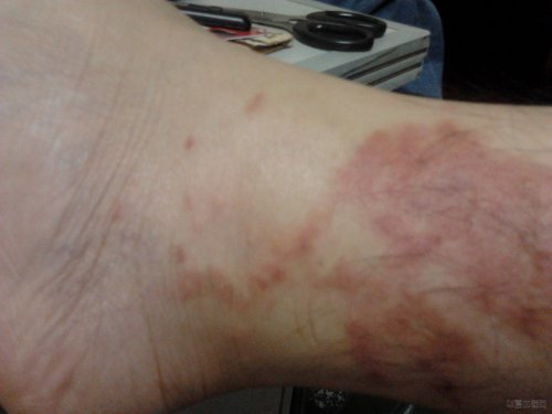 2012-08-24 20.04.47.jpg