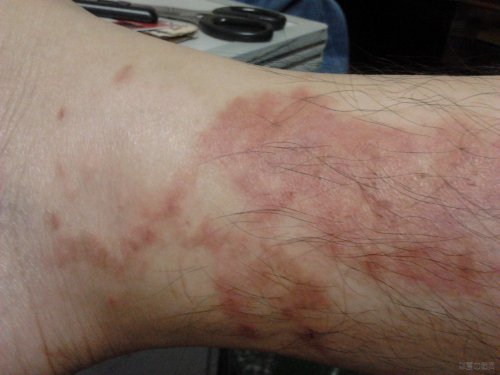 2012-08-24 20.05.15.jpg