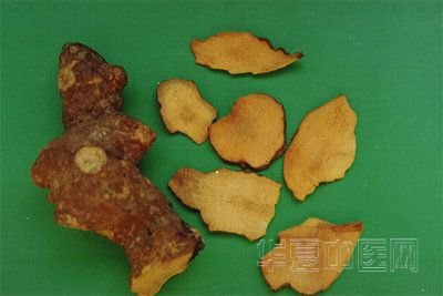 土茯苓2.jpg