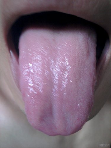 IMG_20120812_102501.jpg