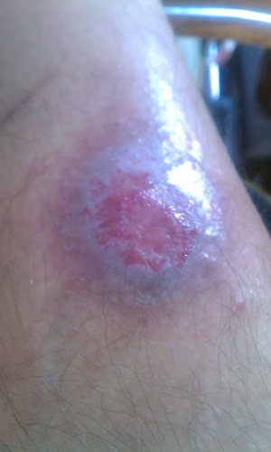 IMAG0263.jpg