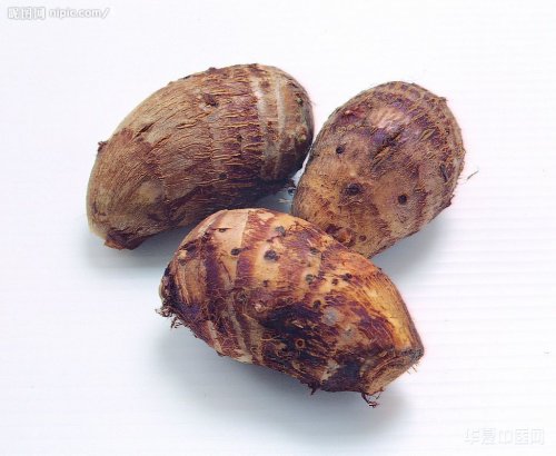 芋头仔.jpg