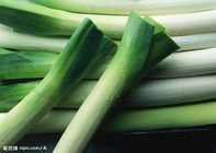 大葱.jpg