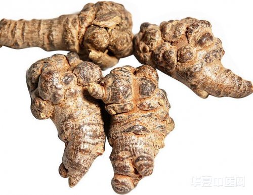 sanqi.jpg