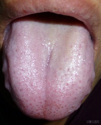 P1000074.JPG