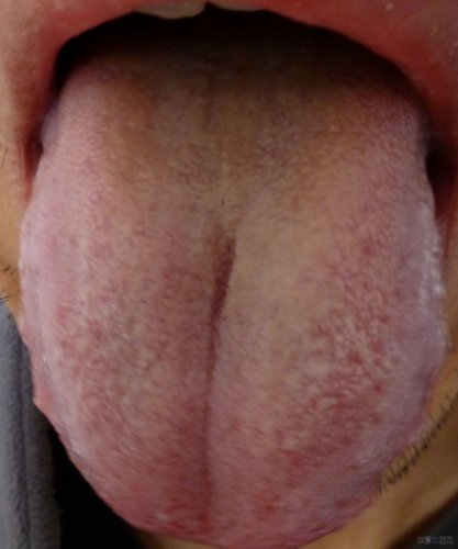 P1000106.JPG