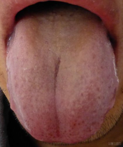 P1000109.JPG