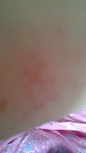 IMG_20121021_102636.jpg