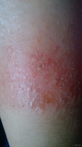 IMG_20121025_081918.jpg