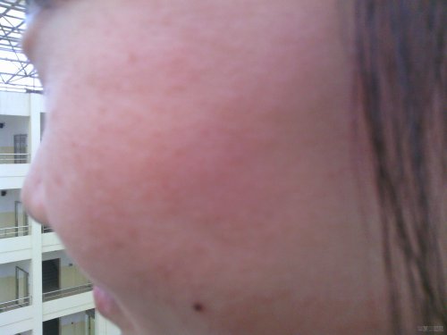 IMG_20121029_161348.JPG