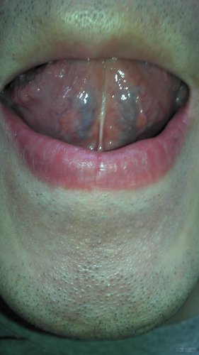 IMG_20121117_151949.jpg