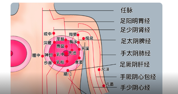 穴位图.png