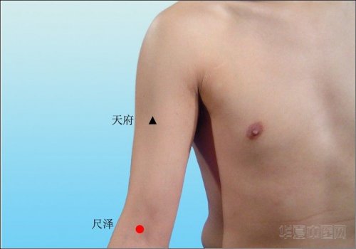 尺泽1.jpg