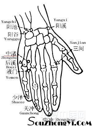 20110427095726500.jpg