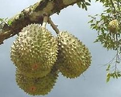 QQ截图20121122150548.png
