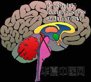 clip_image001.gif