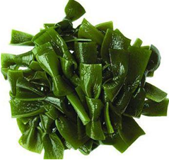 QQ截图20121203102035.png