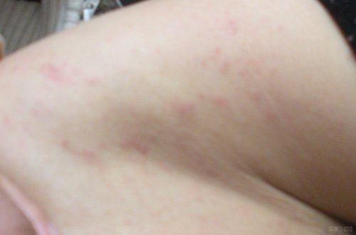DSCN1382.JPG