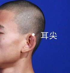 耳尖.jpg