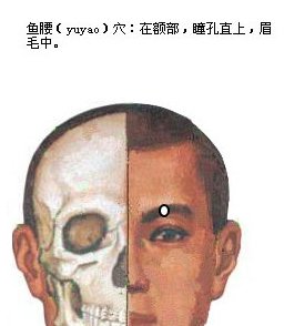 鱼腰.jpg
