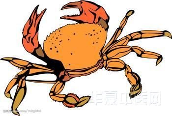 图.jpg