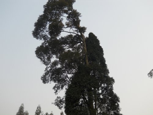 照片 394_副本.jpg