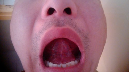 IMG_20130308_082956.jpg