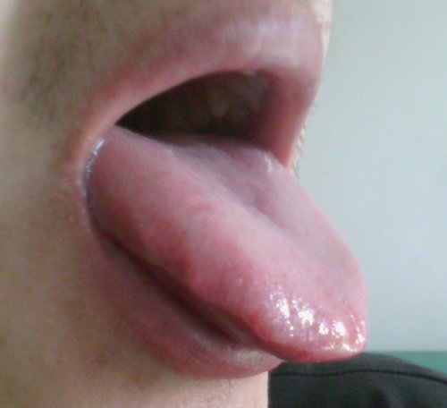 DSC_0178.JPG