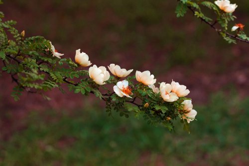 AHB_0039_副本.jpg