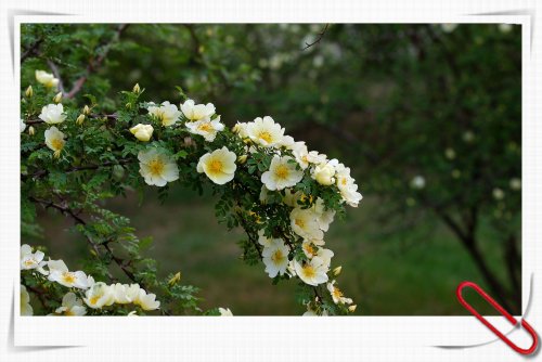 AHB_0042_副本.jpg