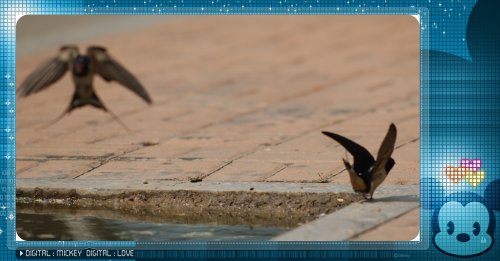 AHB_0360_副本.jpg