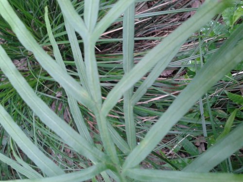 20130503_103200.jpg