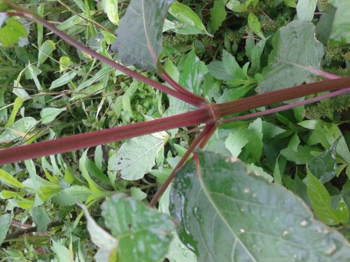20130503_100751.jpg