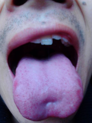 IMG20130508002.jpg