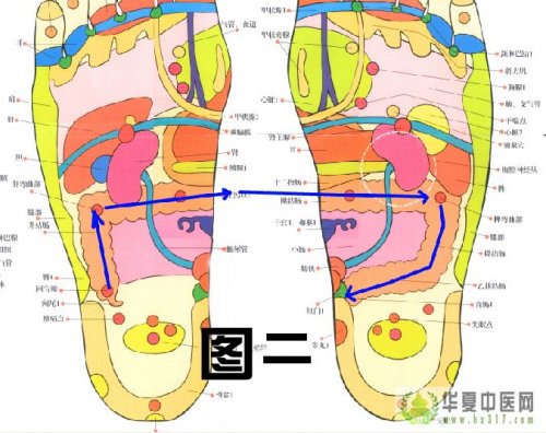 足部反射区挂图 1.jpg