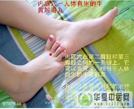 内庭.jpg