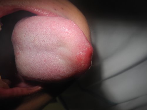 DSCN1355.JPG