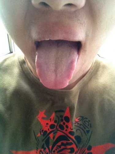QQ图片20130531104904.jpg