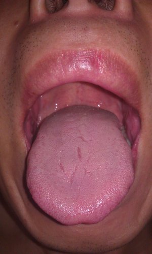 IMAG0333.jpg