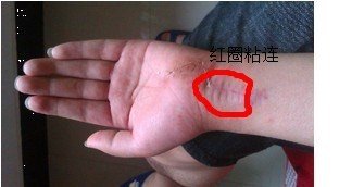 QQ图片20130610112513.jpg