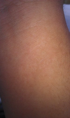 IMAG0574.jpg